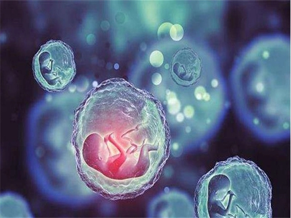 试管婴儿全流程解析帮助对试管宝宝有更深入的了解